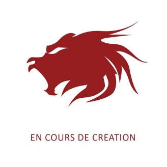 Tenue Tai Chi Classique