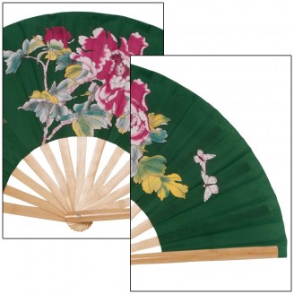 Tai Ji Quan Fan