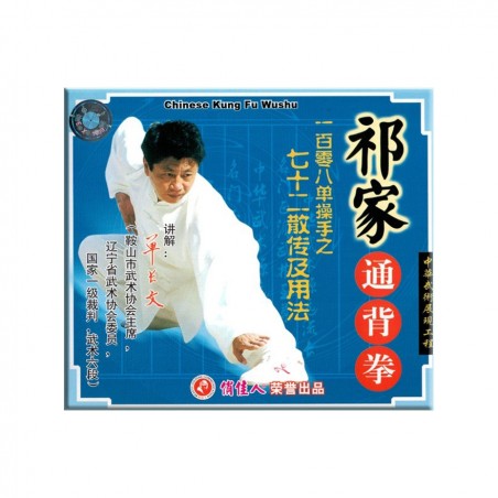 Tongbei Quan, by Dan Zhang Wen