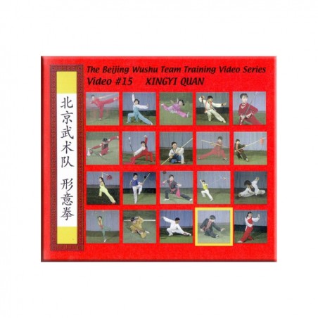 Beijing Wushu Team 1983