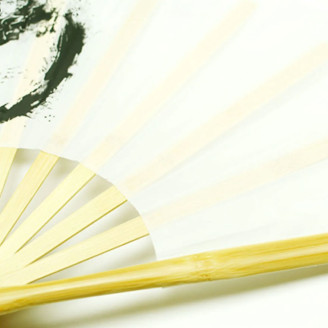 Abanico Taiji Dragón