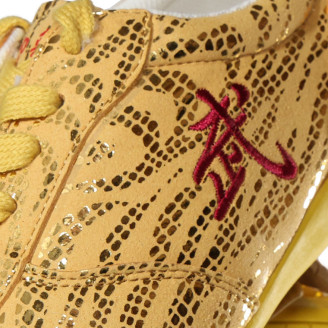 Chaussures Wushu Pro